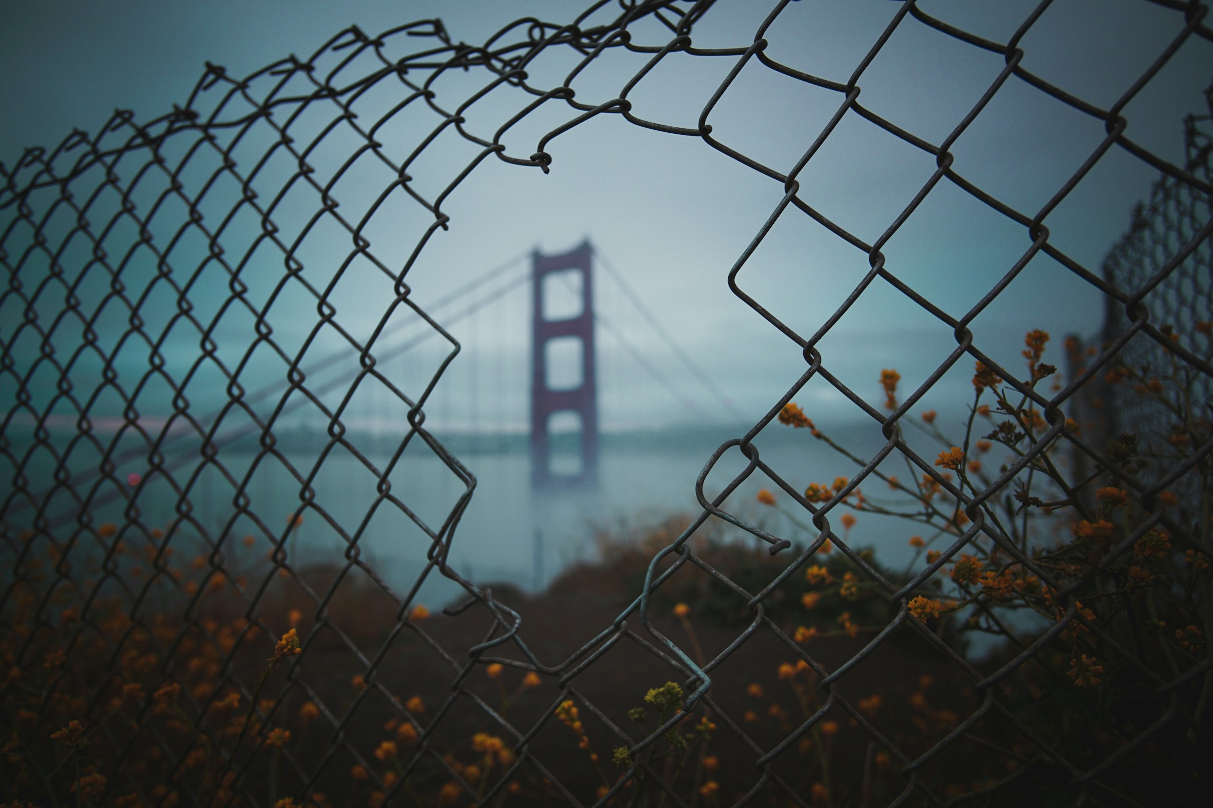 Background